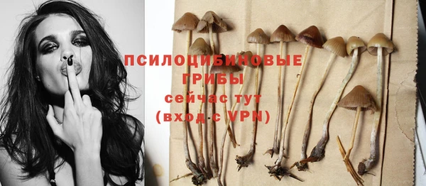 МДПВ Балахна