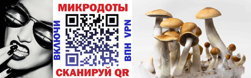 даркнет состав  Тавда  Галлюциногенные грибы Magic Shrooms 